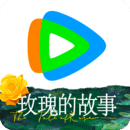桃子老师
